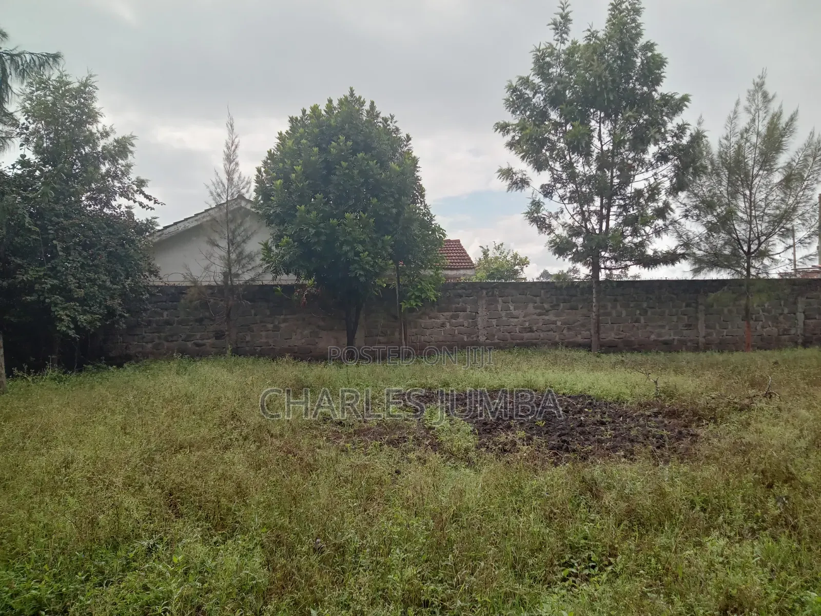 Prime Milimani Plot