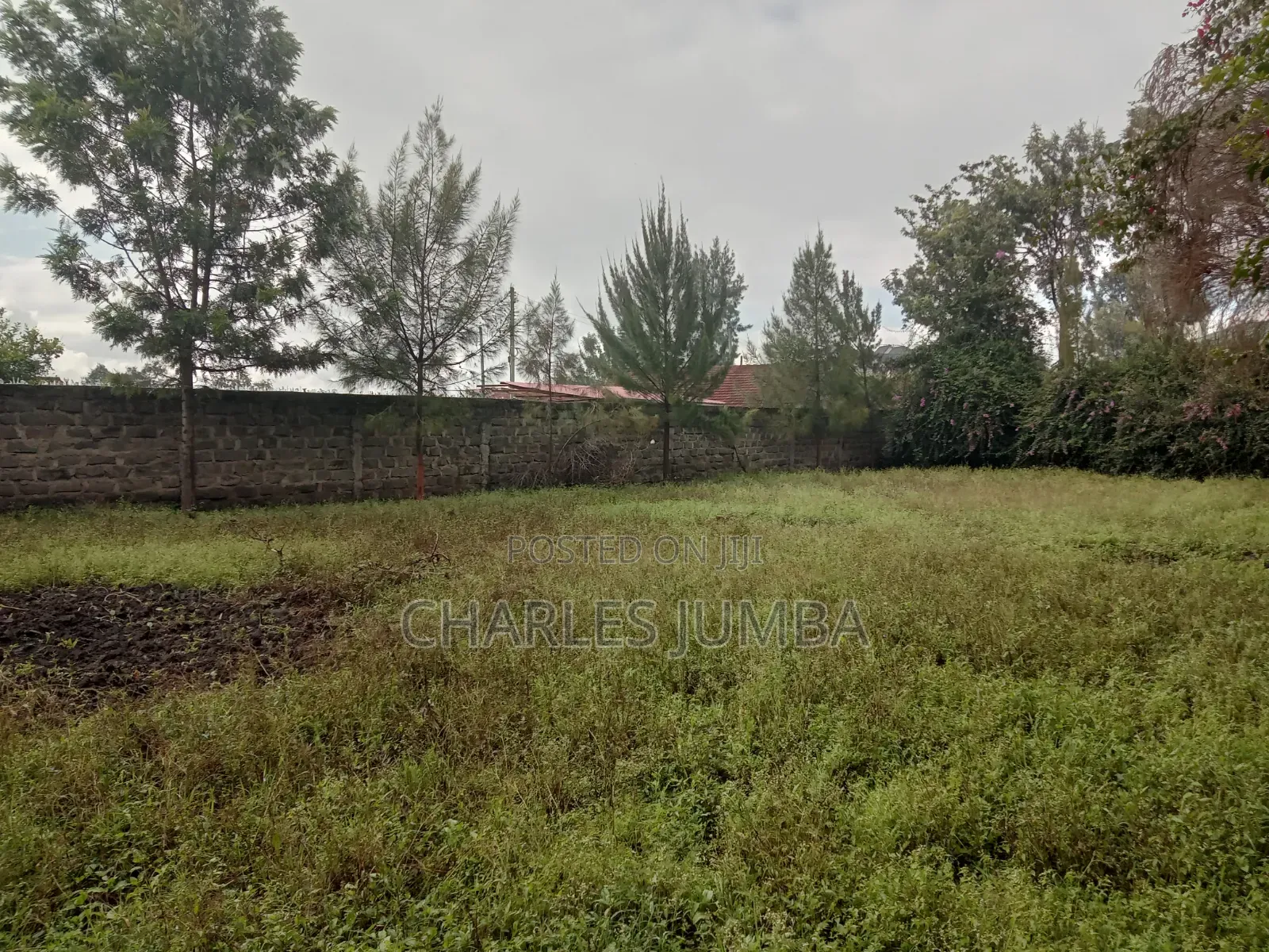 Prime Milimani Plot
