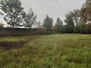 Prime Milimani Plot