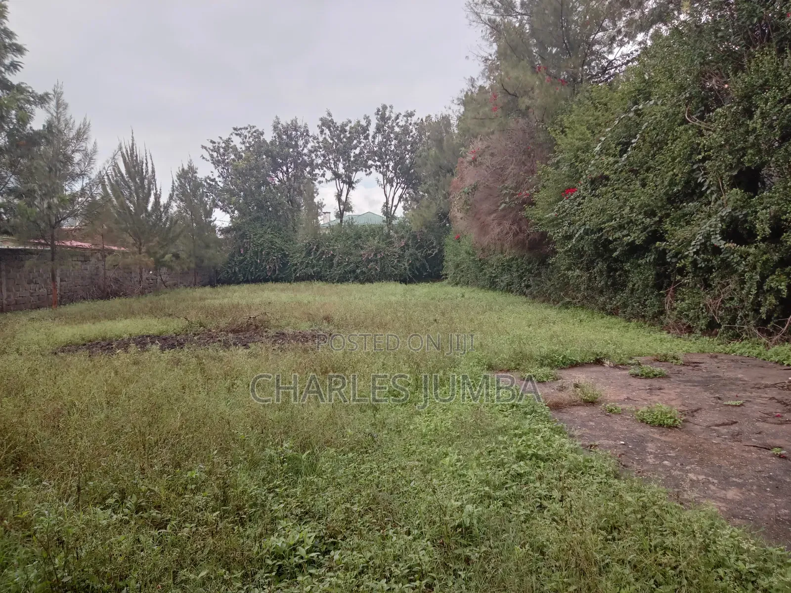 Prime Milimani Plot