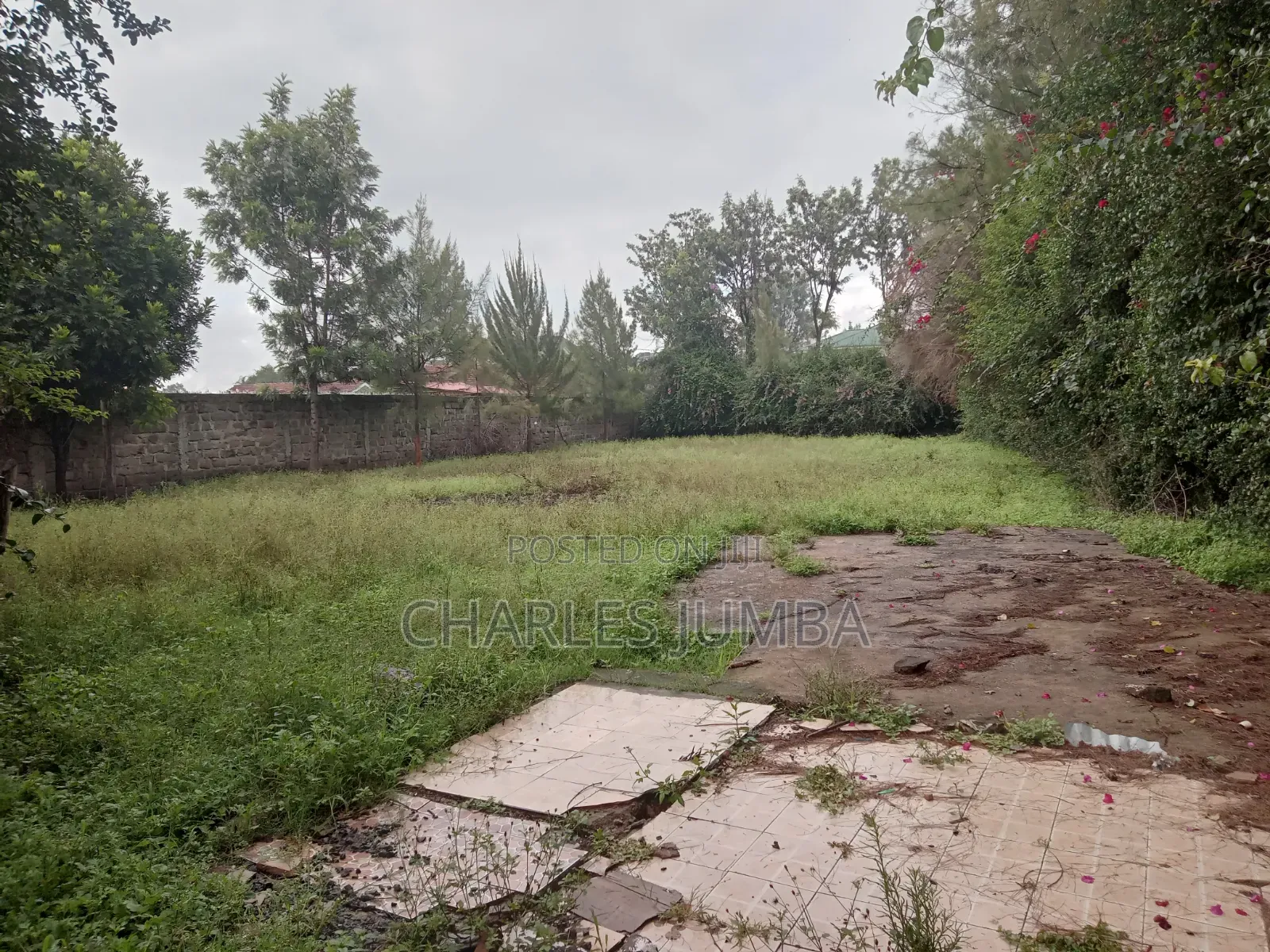 Prime Milimani Plot
