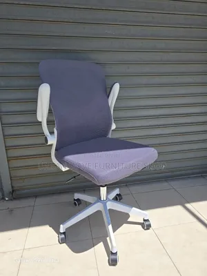 Orgonomic White Grey Office Chair
