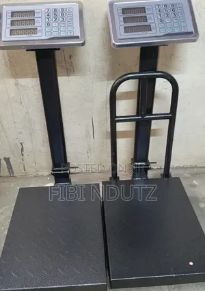 Rechargeable 300kg Platform Weighing Scale/Platform Scale 300kg