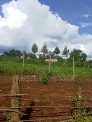 100 by 100 Plot Ngarariga