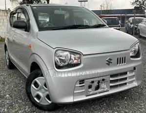 Suzuki Alto 2019 Silver