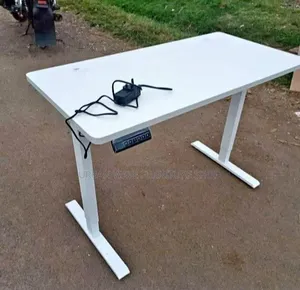 Electric Desk Standing Desk