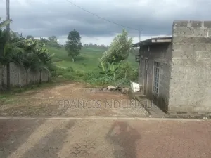 Build Your Dream County Home in Cianda Estate Kiambu.