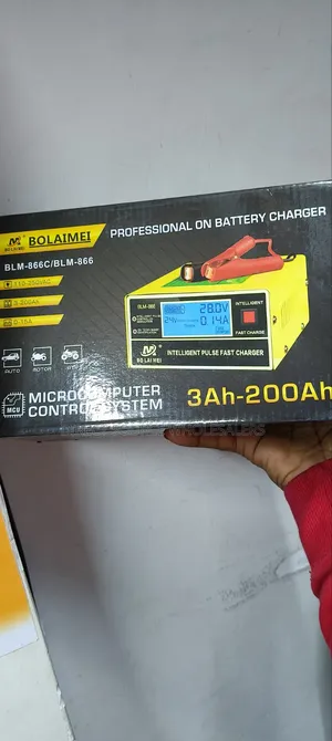 Bolaimei Smart Car Battery Charger 12v/24v