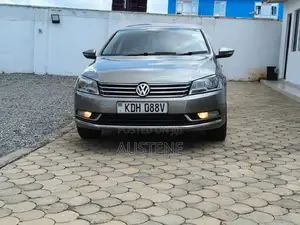 Volkswagen Passat 2013 Beige