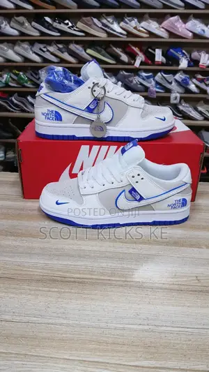 Nike Sb Northface