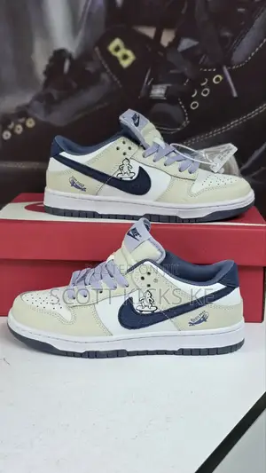 Nike Sb Skate Board