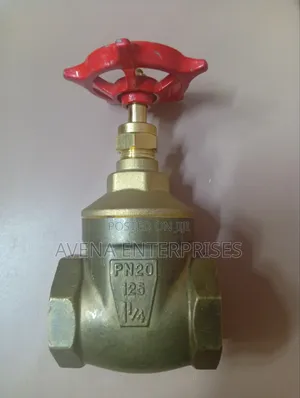 Gate Valve (All Sizes)
