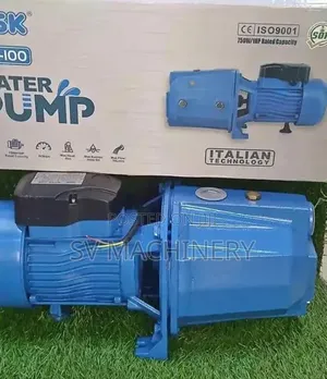 Heavy Duty 1hp Electric Booster Pump
