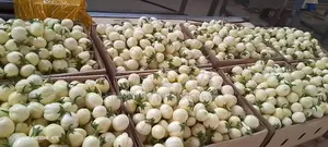 Export Ready Premium Reliable East A.Vegetables, Fruits , Cereals.