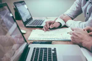 Professional Financial Consultant