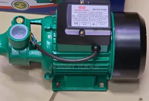 Ranger Booster Pump 0.5hp/Electric Water Pump