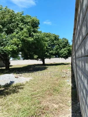 Quarter Acre Plot With Perimeter Wall