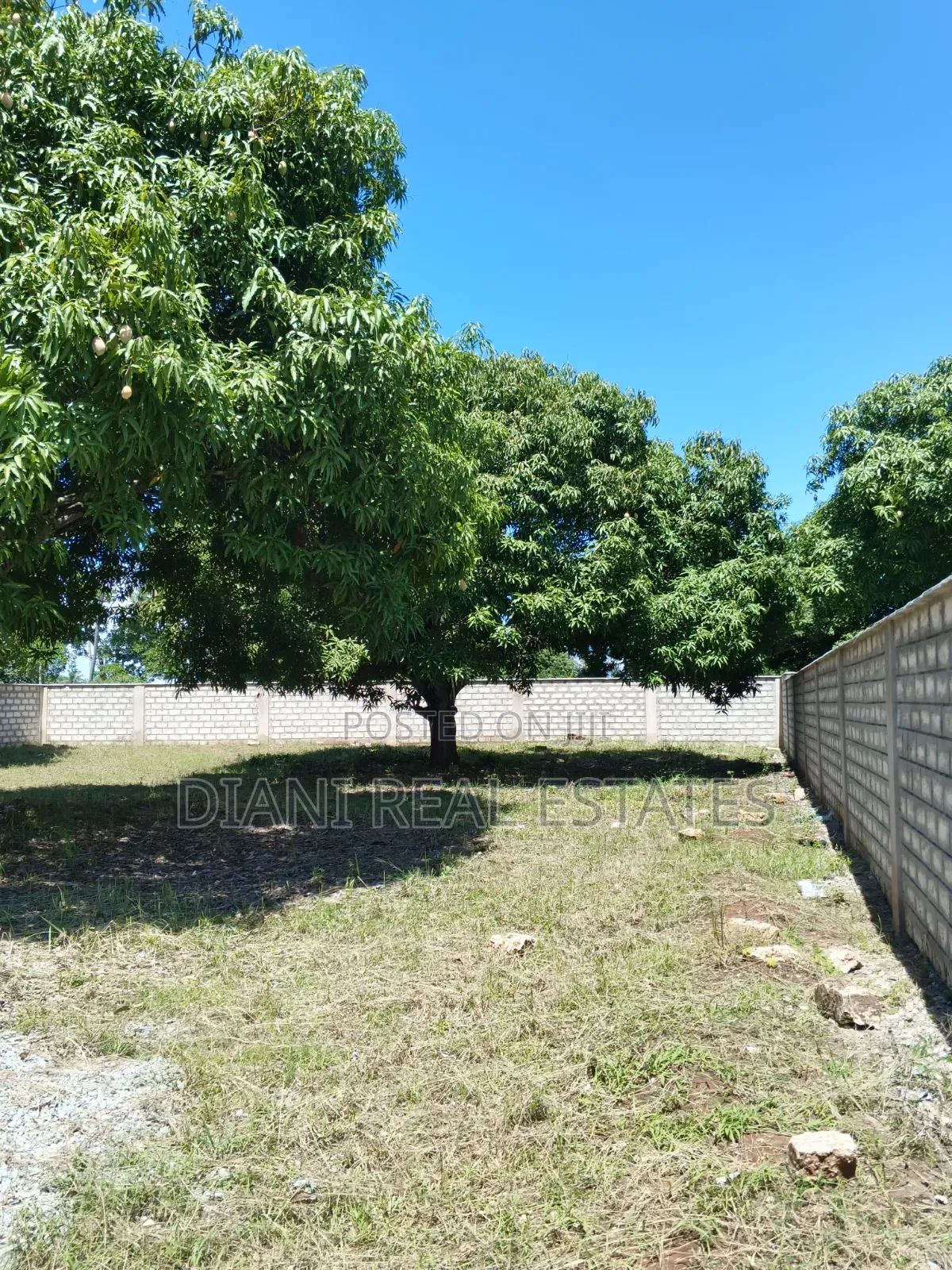 Quarter Acre Plot With Perimeter Wall