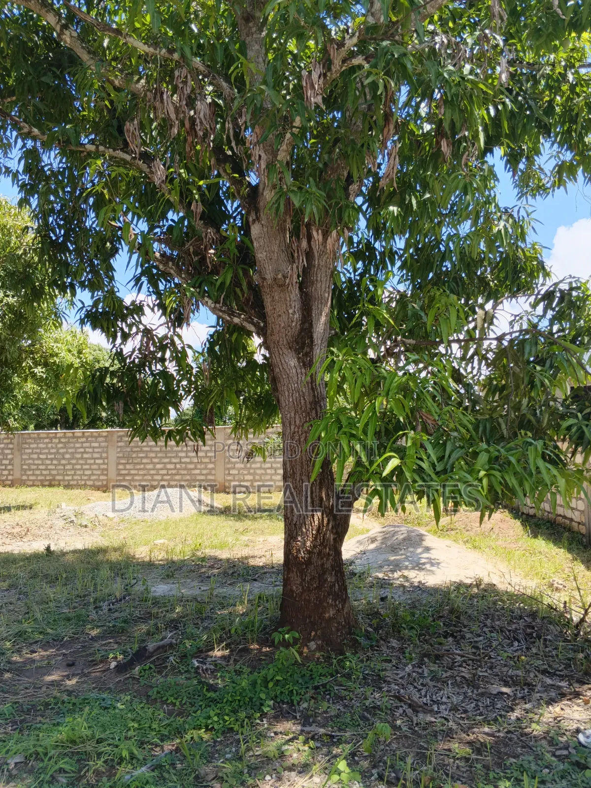 Quarter Acre Plot With Perimeter Wall