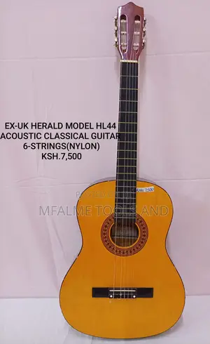 Herald Acoustic Classical Guitar
