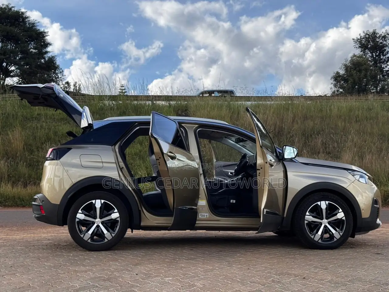 Peugeot 3008 2018 Gold