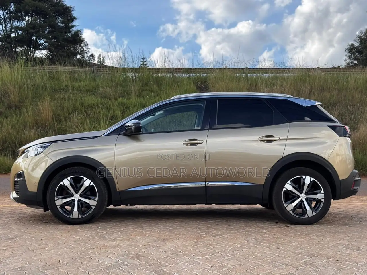 Peugeot 3008 2018 Gold