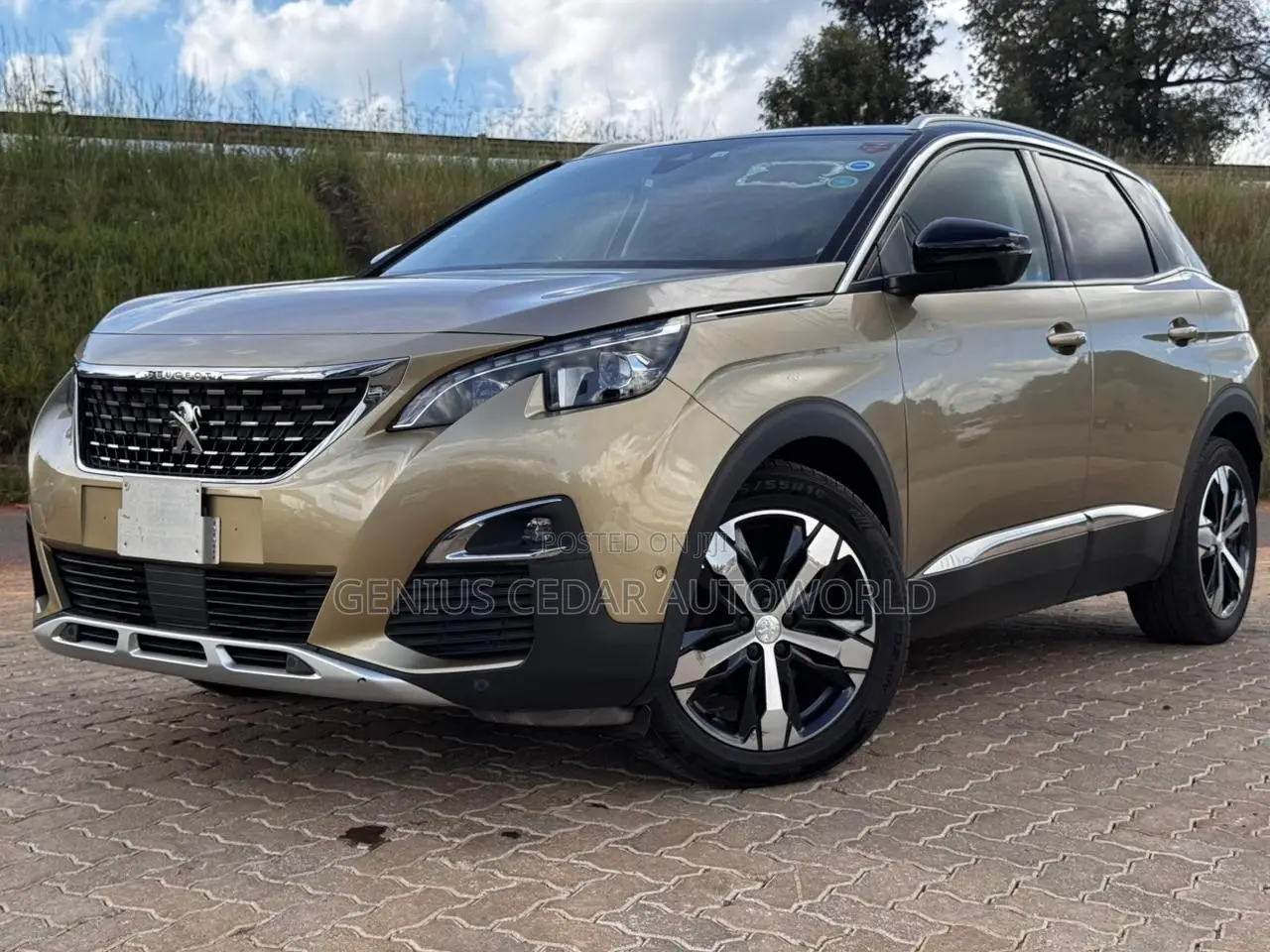 Peugeot 3008 2018 Gold