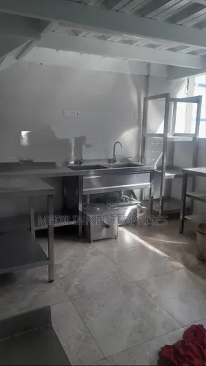 Ss 304 Customized Double Sink