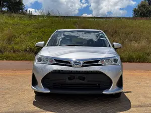 Toyota Corolla Fielder 2019