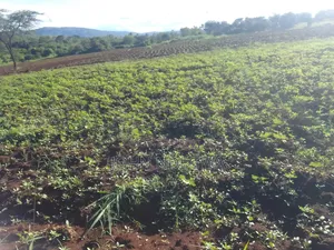 Mananja Land for Sale