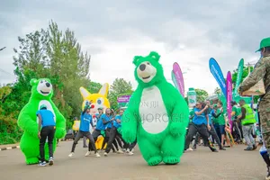 Mascots/ Bear for Hire