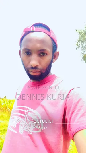 Dennis Kuria Cv