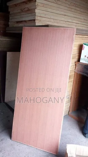Plain Flush Door