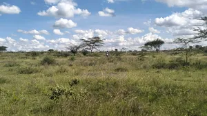 Athi River 50 by 100 Plots for Sale Near Daystar