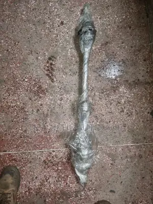 Drive Shaft Mirage