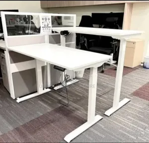 White  Standing Desk