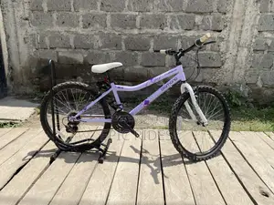 Ex Uk Mountain Bike