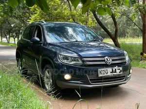 Volkswagen Tiguan 2014 Blue