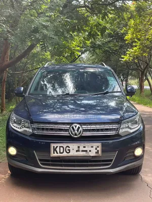 Volkswagen Tiguan 2014 Blue