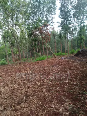 5 Acre Land For Sale In Karen