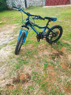 Unirox Bike