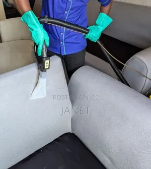 Professional Upholstery Cleaning Services