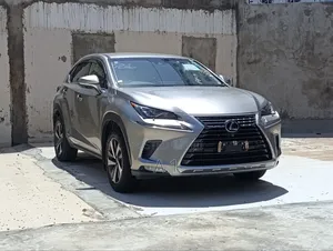 Lexus NX 300h FWD 2019 Gray
