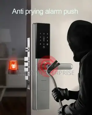 Smart Tuya App Remote Control Fingerprints Key Cards Password Lock
