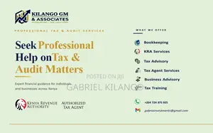 Seek Professional Help On Tax Audit Matters