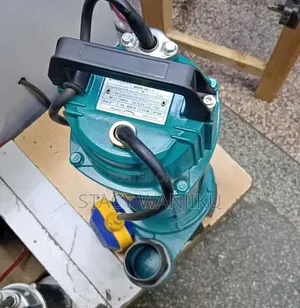 Powerful Water Pump / Submersible Pump