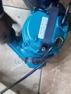 Powerful 1.5kw Pump
