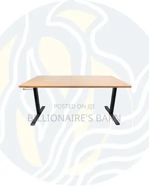 Durable Electric Standing Desk Heavy Duty Dual Monitor Workspace