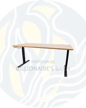 Durable Electric Standing Desk Heavy Duty Dual Monitor Workspace