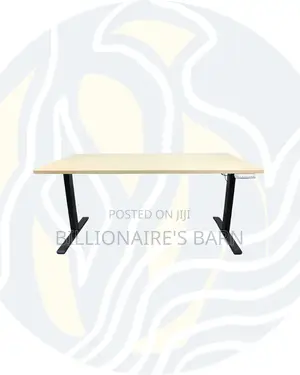 Modern Dual Motor Electric Standing Desk Ergonomic Workstation
